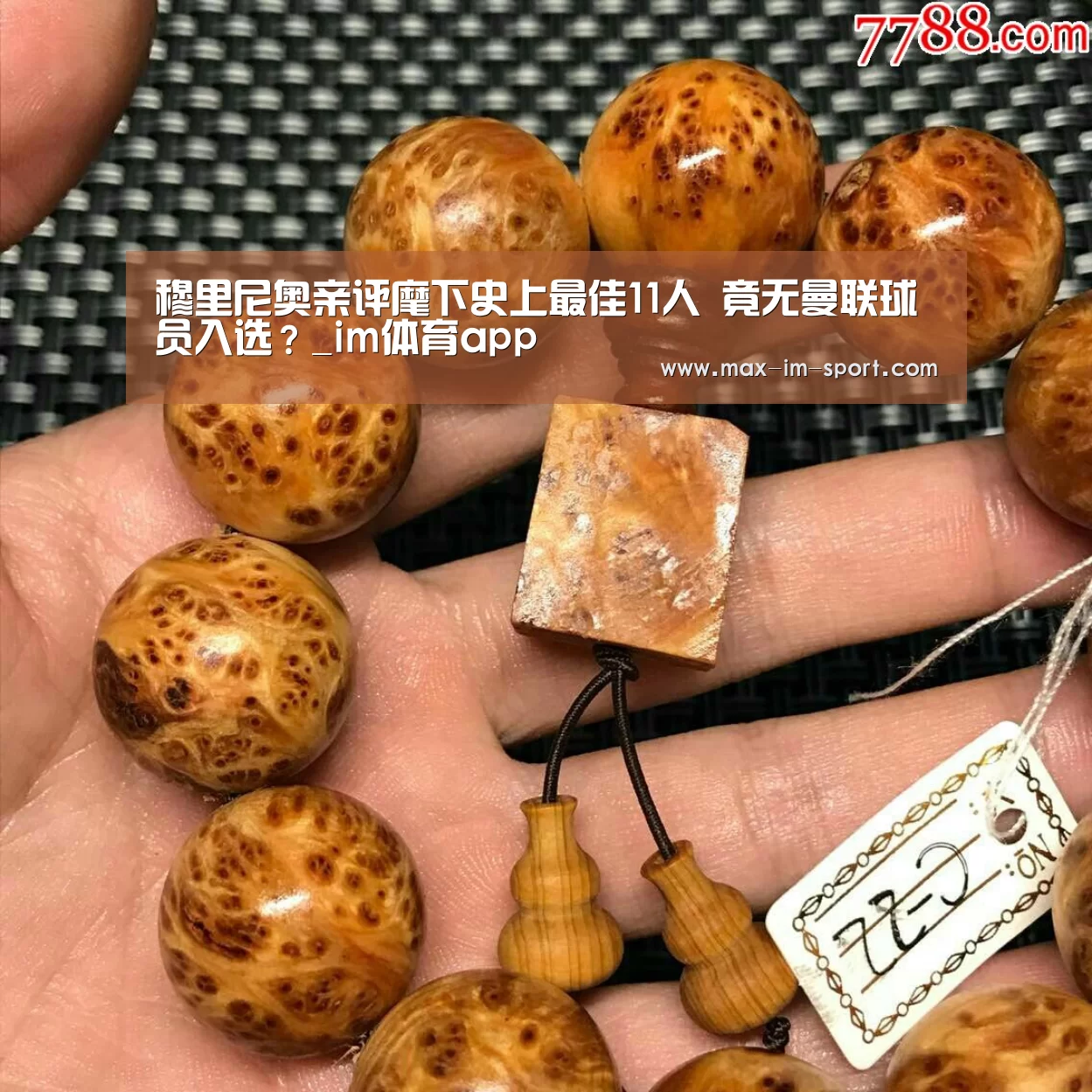 im体育下载