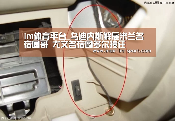 im体育下载
