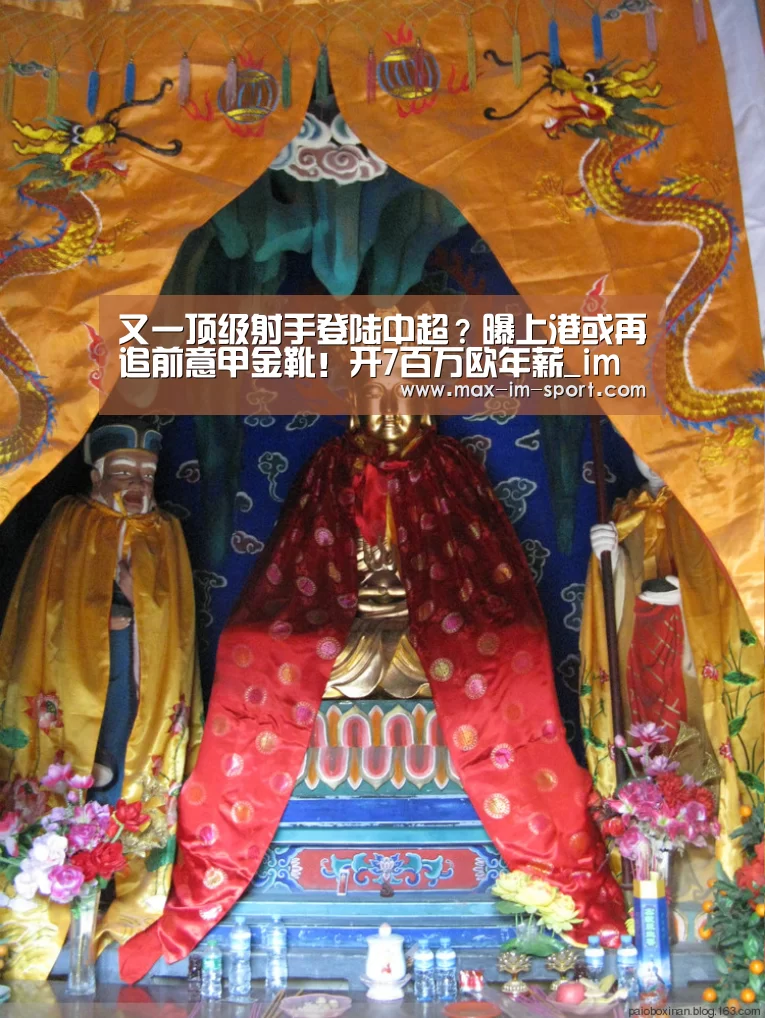 im体育